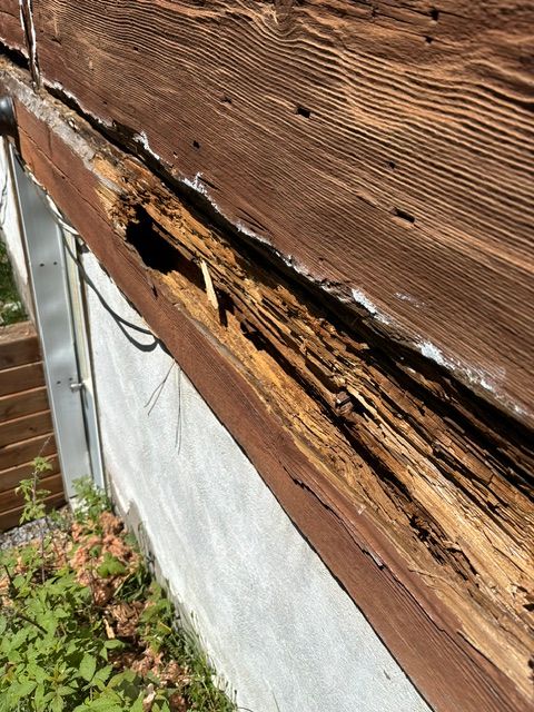 Lisse de rive pourrie sous les billes d’une maison de bois rond