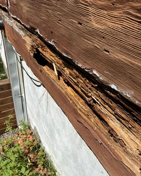 Lisse de rive pourrie sous les billes d’une maison de bois rond